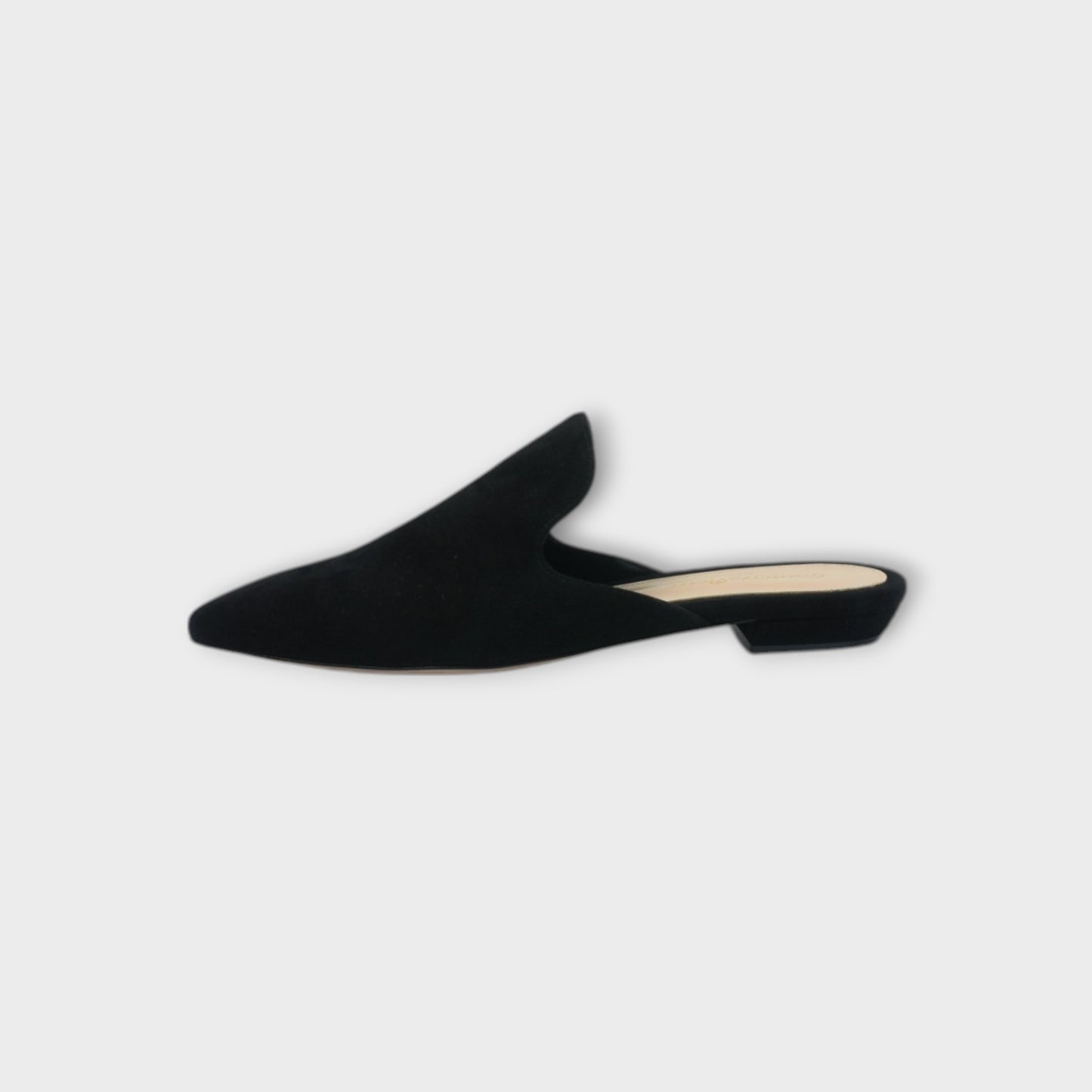 Gianvito Rossi PAJA SLIDE