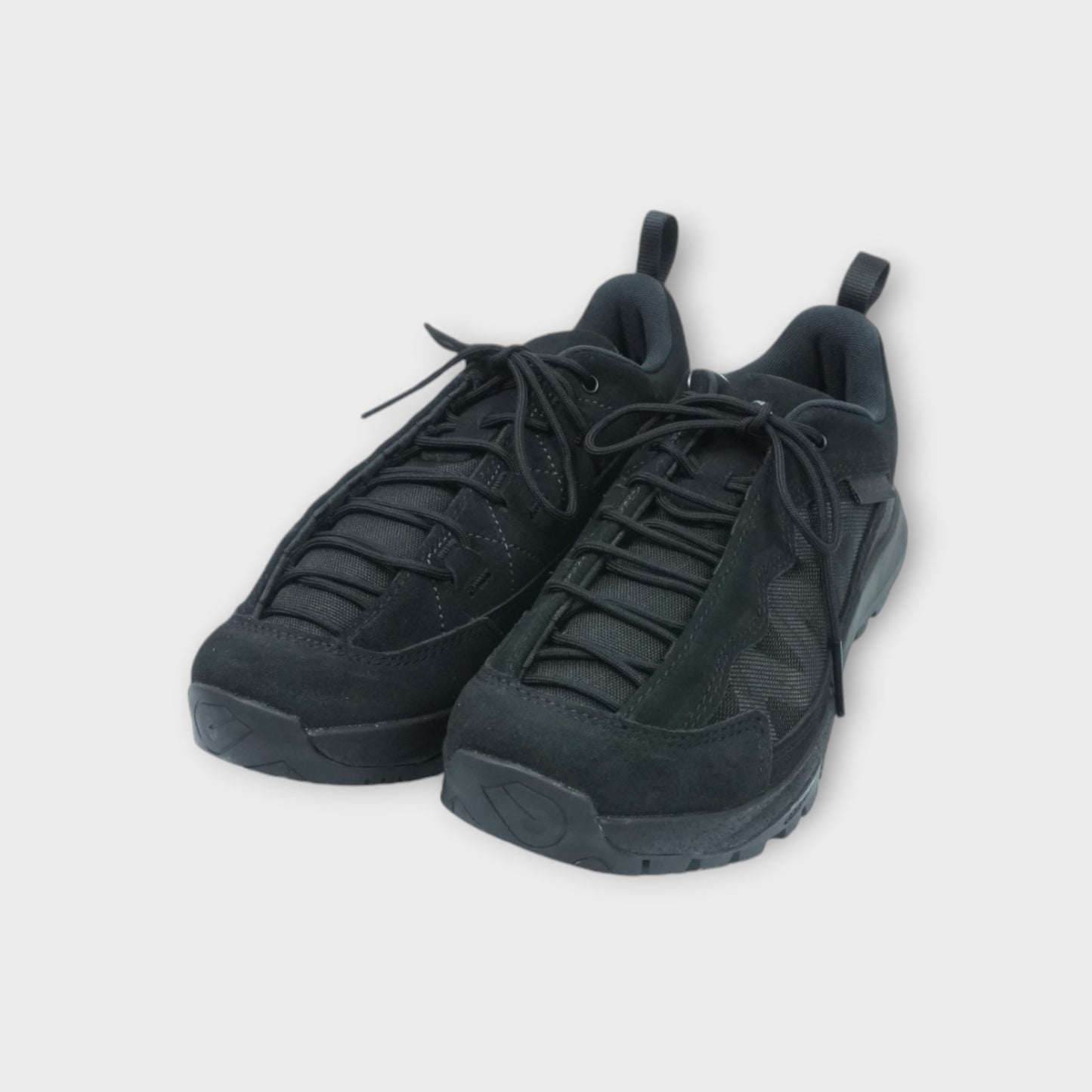 PHILEO × SALOMON ALPINWAY SP2