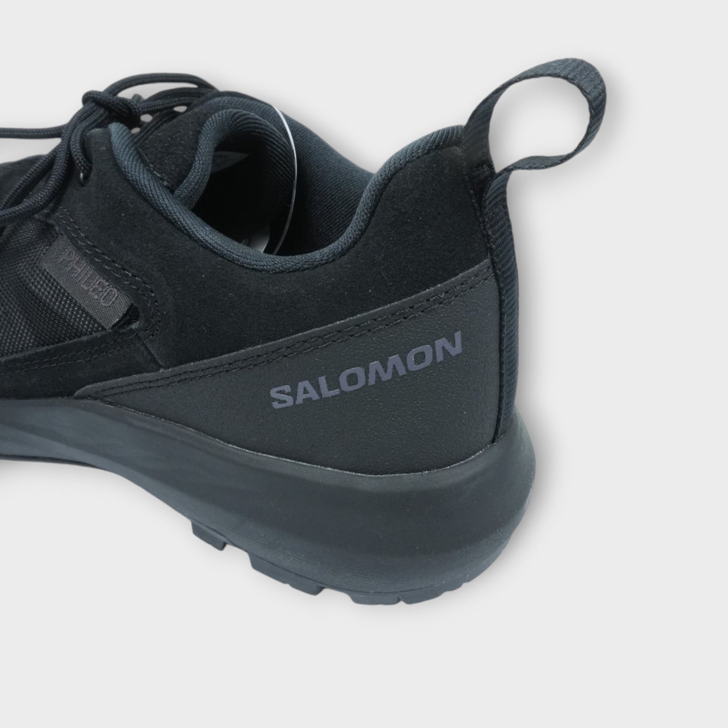 PHILEO × SALOMON ALPINWAY SP2