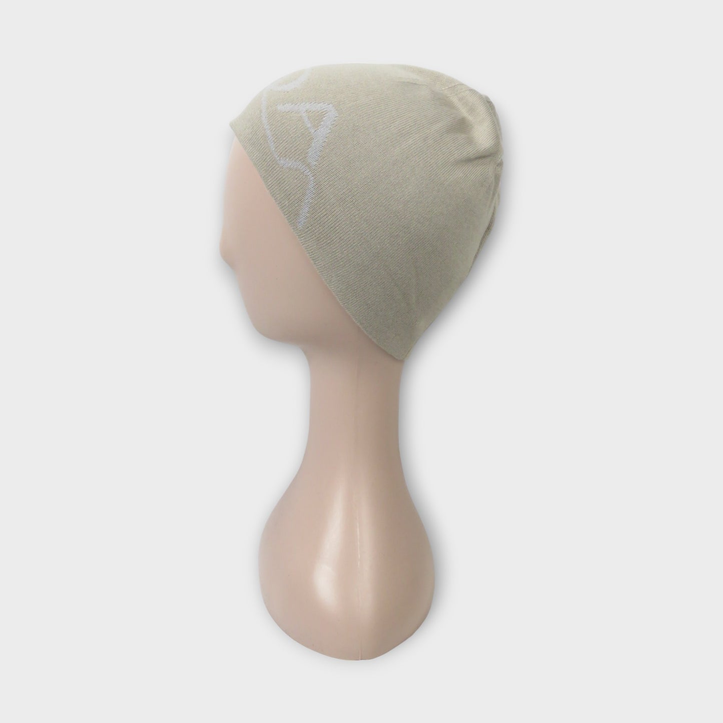 ROA Logo Beanie
