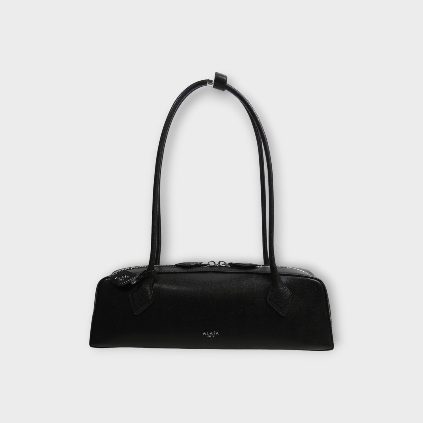 ALAÏA LE TECKEL