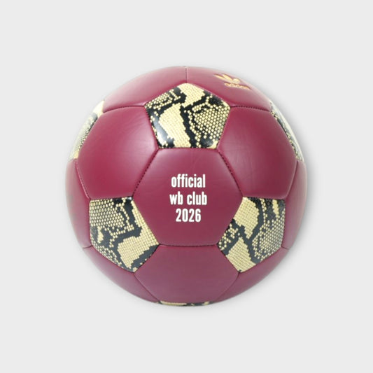 adidas by Wales Bonner STMT FTBL BALL