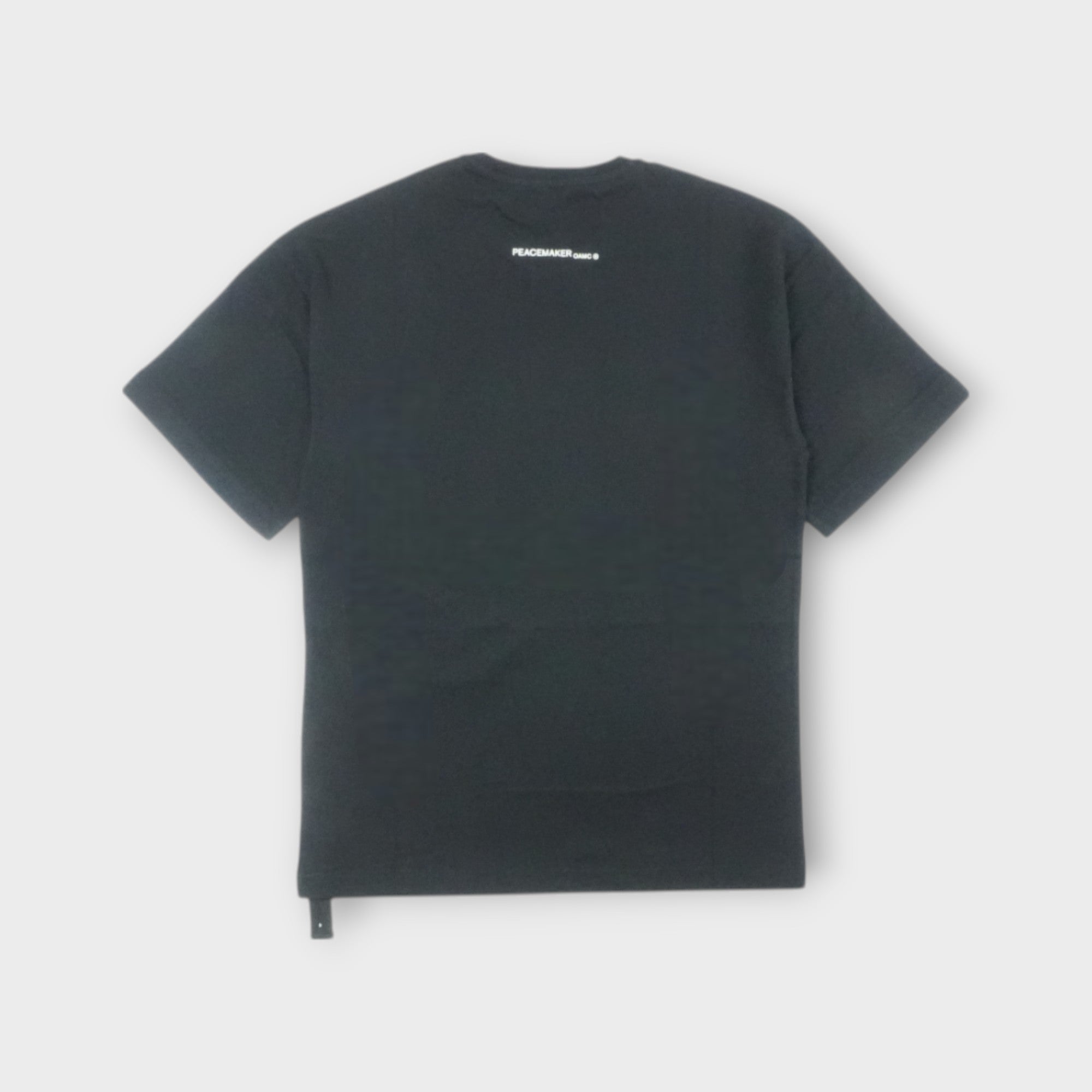 Tシャツ・カットソー OAMC SS25 PEACEMAKER BIRD TEE (PCM1OT02HJE002099 BLK) OAMC PAECEMAKER_Peacemaker Bird S/S Tshirt (Black) – TOBIRA