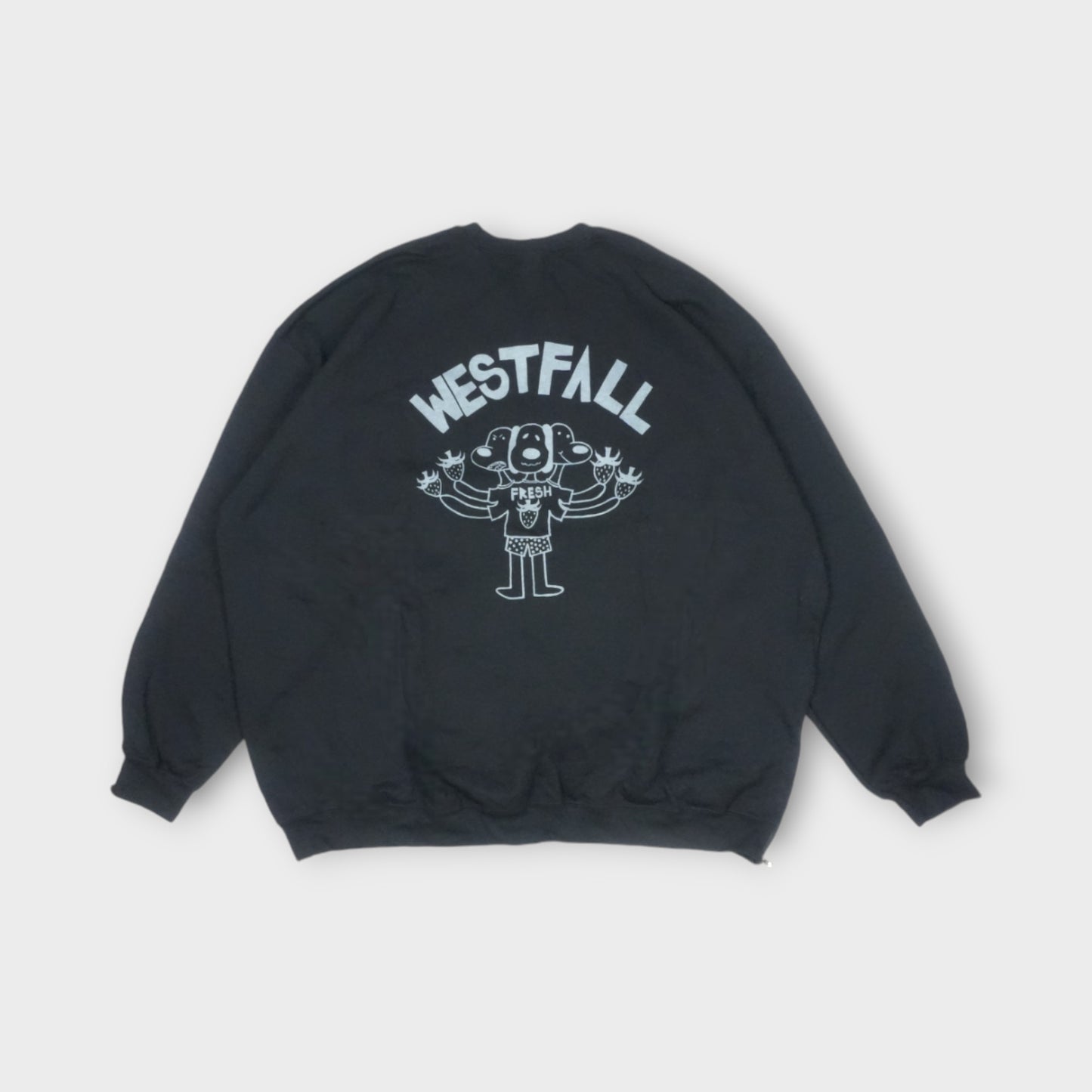 WESTFALL WESTFALL ZIP CREW LS