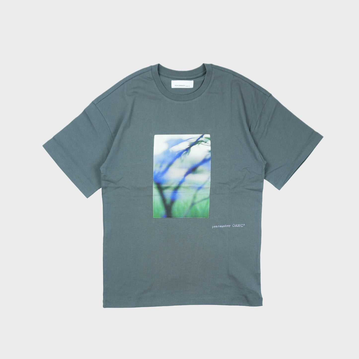 PEACEMAKER × OAMC Loose Fil Tshirt Landart Print